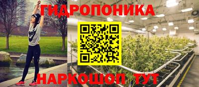 соль ск Бийск