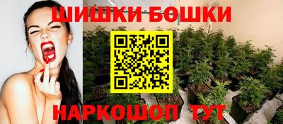 соль ск Бийск