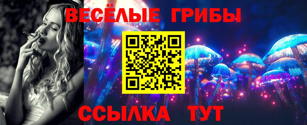 Галлюциногенные грибы Psilocybine cubensis Чита